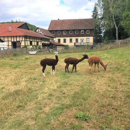 Untere Muehle - Eingezaeunter Garten, Ruhe & Holiday home Meiningen